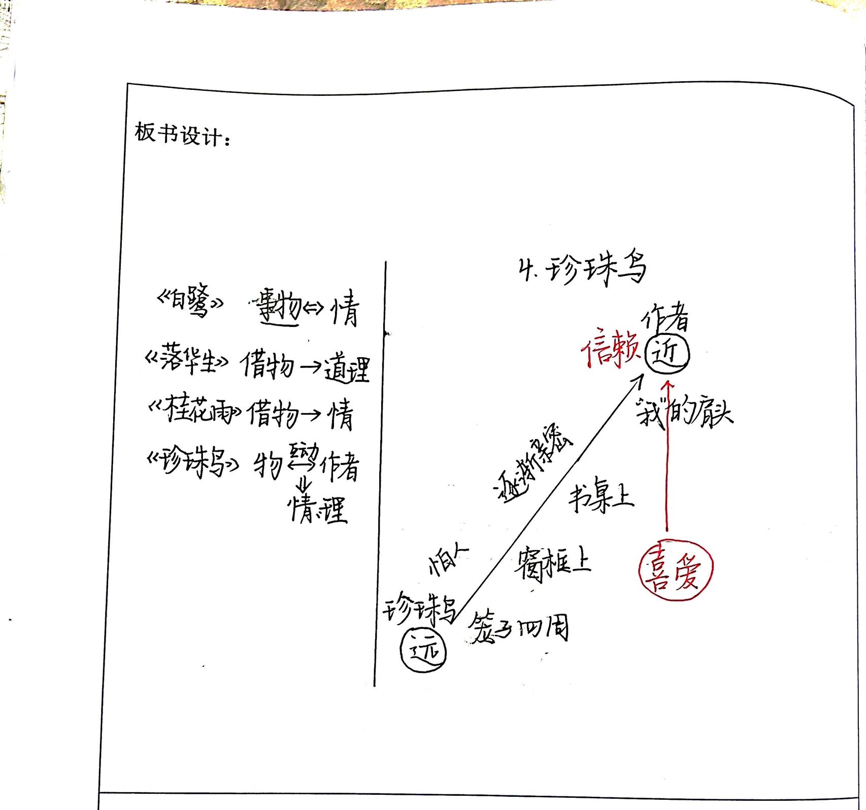 珍珠鸟板书设计 优秀图片