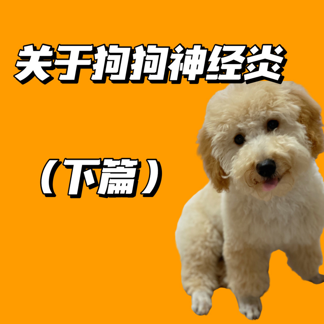 关于狗狗神经炎(下) 狗狗神经炎一般检查是没办法确诊的,需要做核磁