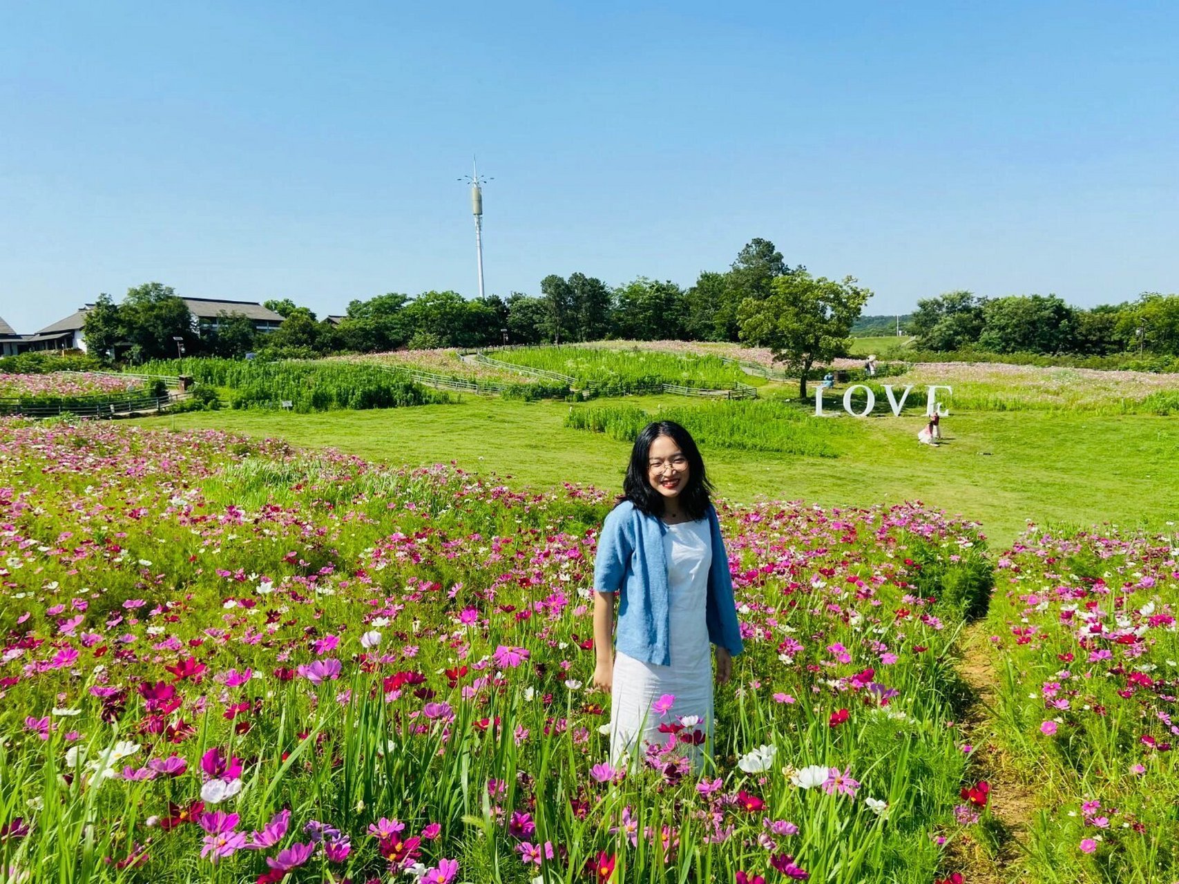 谷里大塘金薰衣草庄园图片