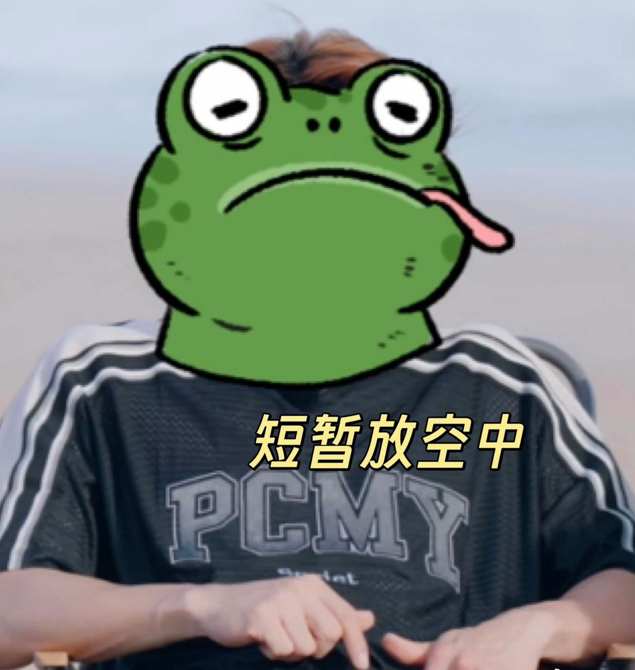 真的是奇了怪了明星们上个综艺还要打码这是让人见还是不想让人见