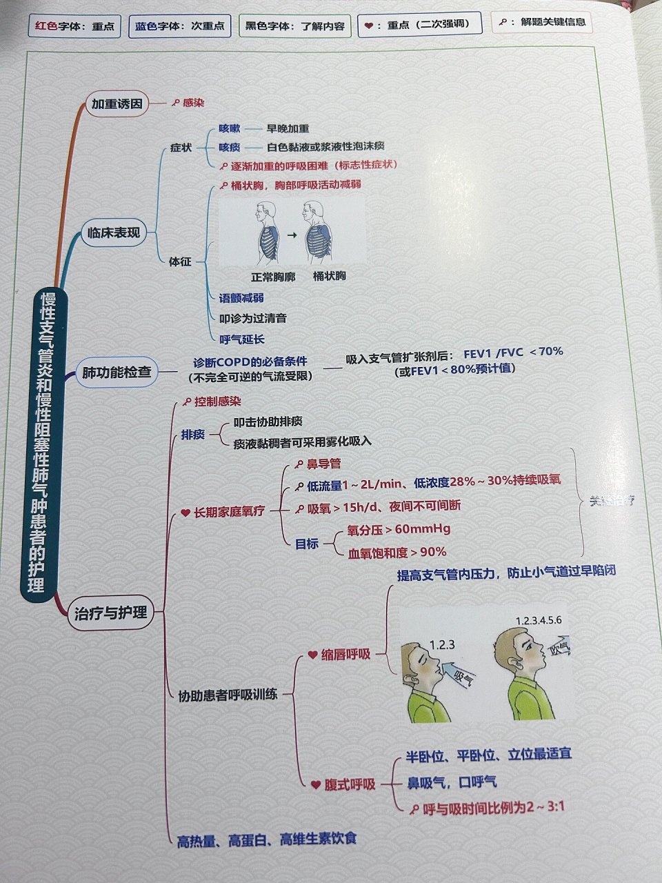 排便护理技术思维导图图片