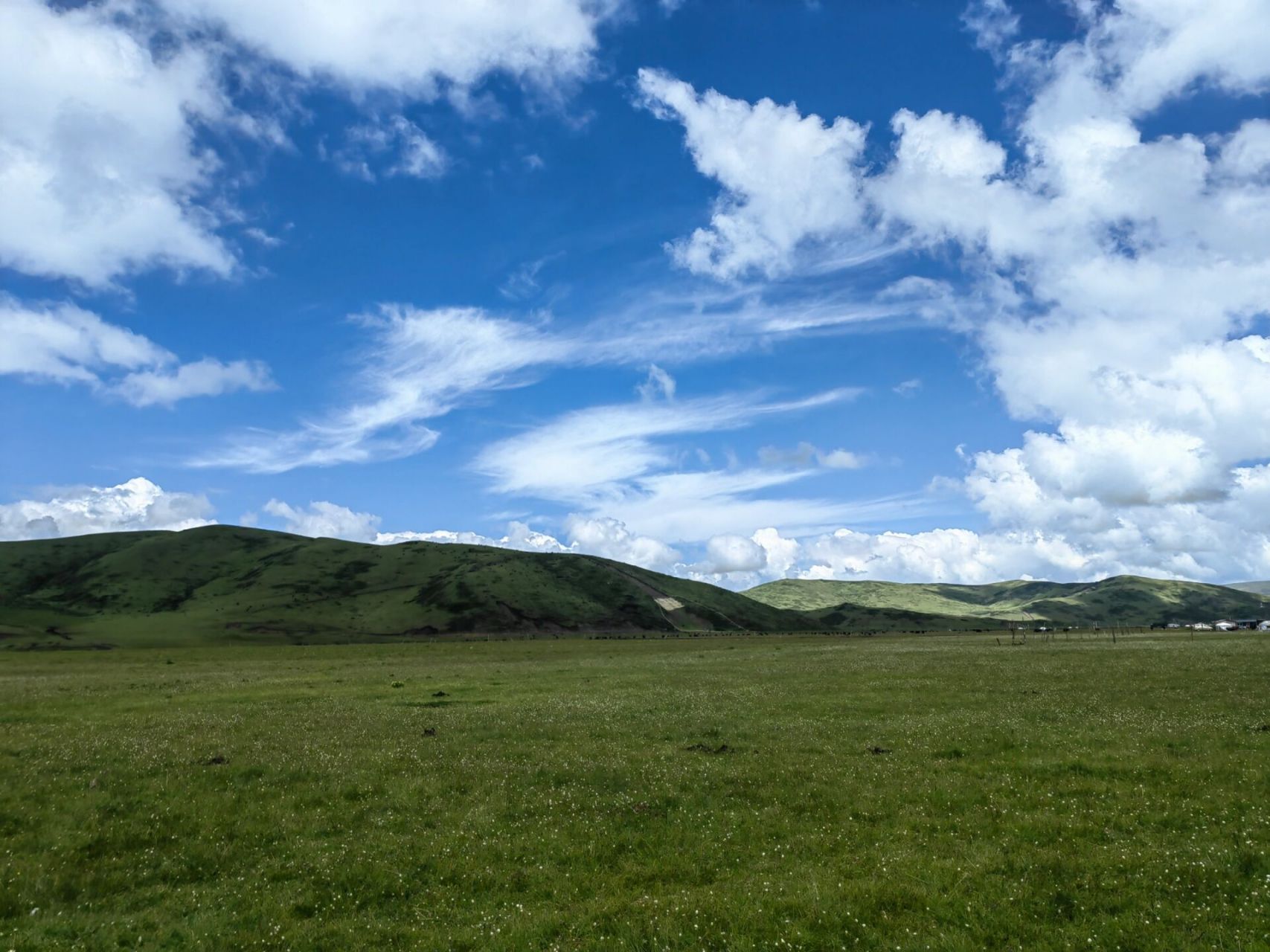 镰刀坝大草原,真的很远😫 从九寨沟直去镰刀坝草原,路程2个半小时,