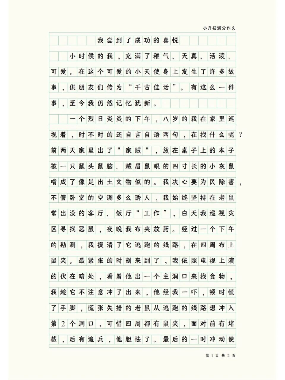 小升初满分作文--我尝到了成功的喜悦