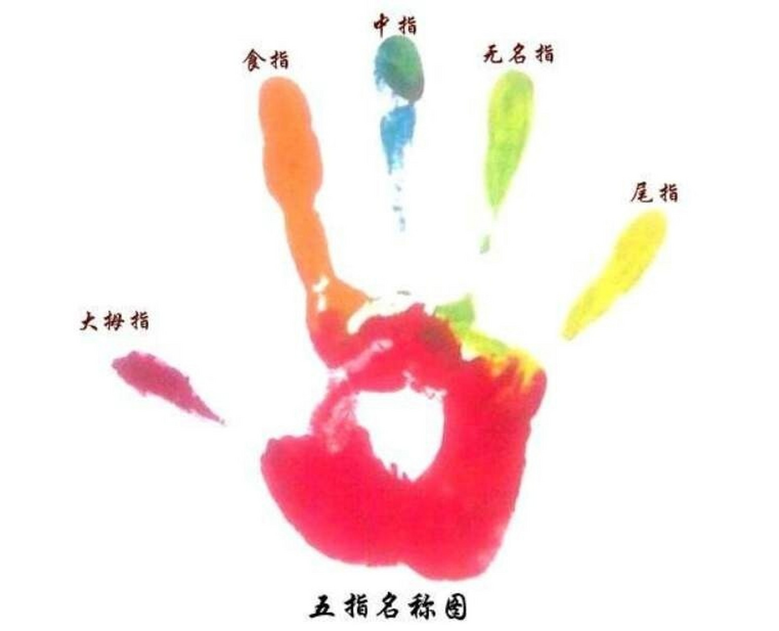 五个手指头代表的身份 大拇指:父母 食指:朋友,同事 中指:自己 无名指