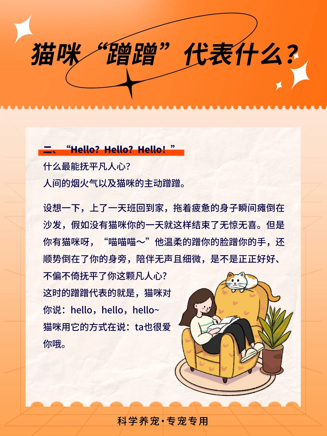 猫咪"蹭蹭"代表什么