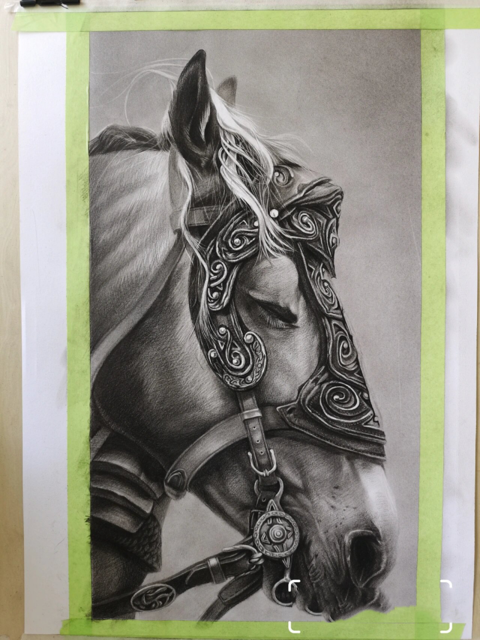 精微素描～马 这张作品是一张半临摹半写生的作品,主要学习毛发质感和