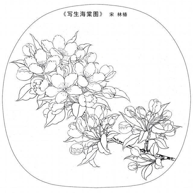 【工笔花鸟白描】花卉篇电子线稿素材