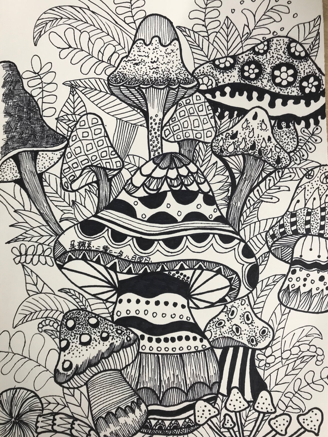 线描黑白装饰画 黑白线描画～蘑菇  黑白线描装饰画   黑白线描