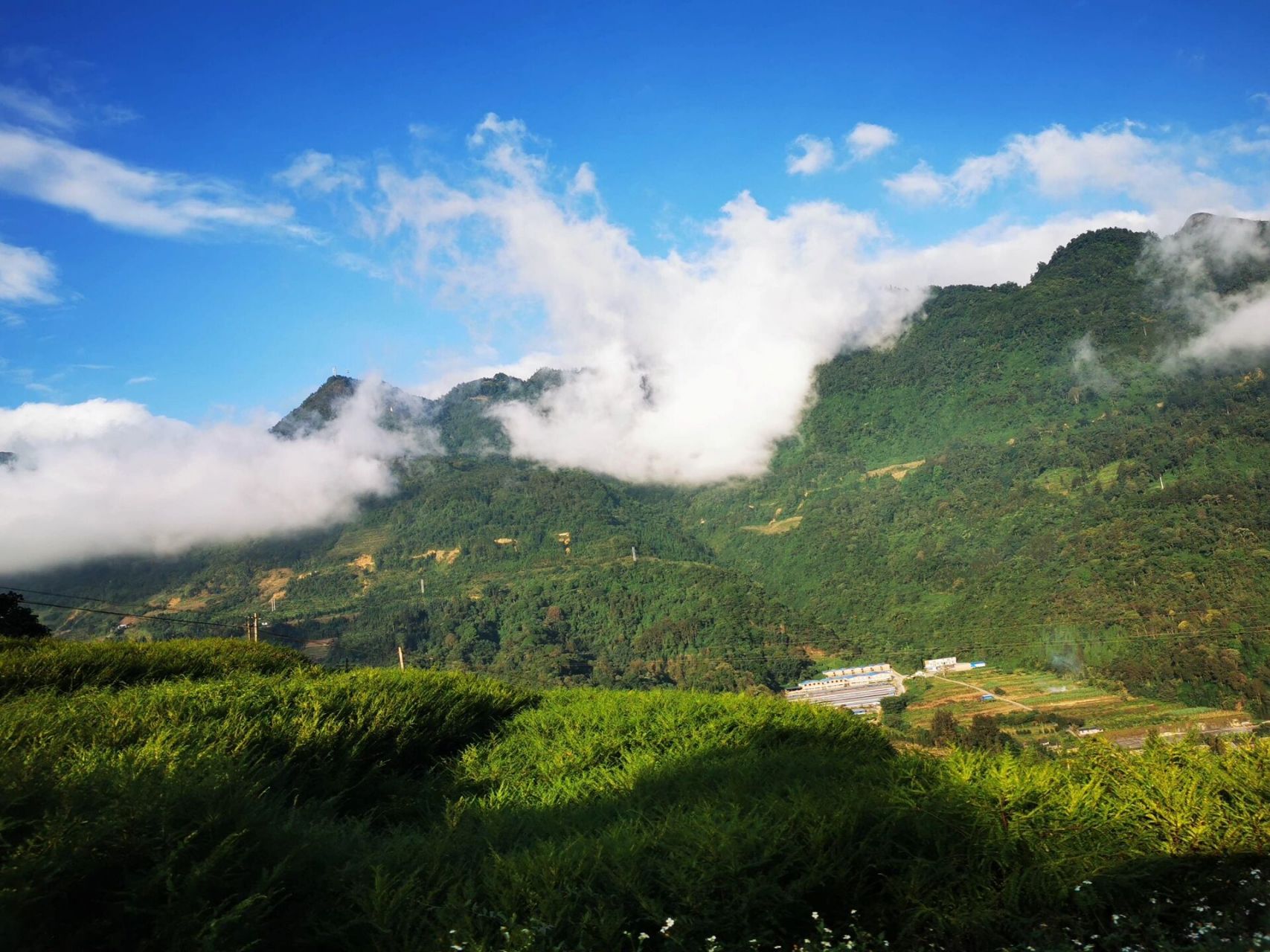 67麻栗坡是一个令人感慨万千的地名,当年跟越南9799的老山收复