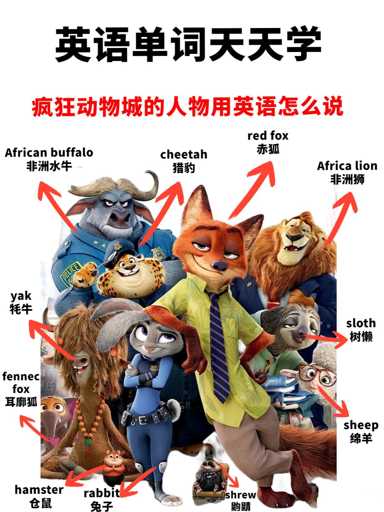 zootopia疯狂动物城,角色用英语怎么说