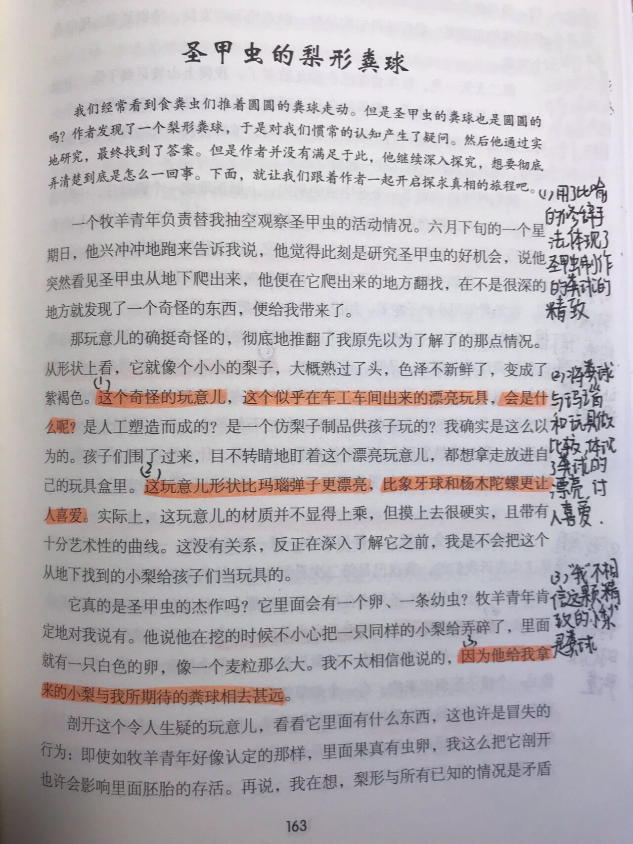 圣甲虫的梨形粪球批注图片