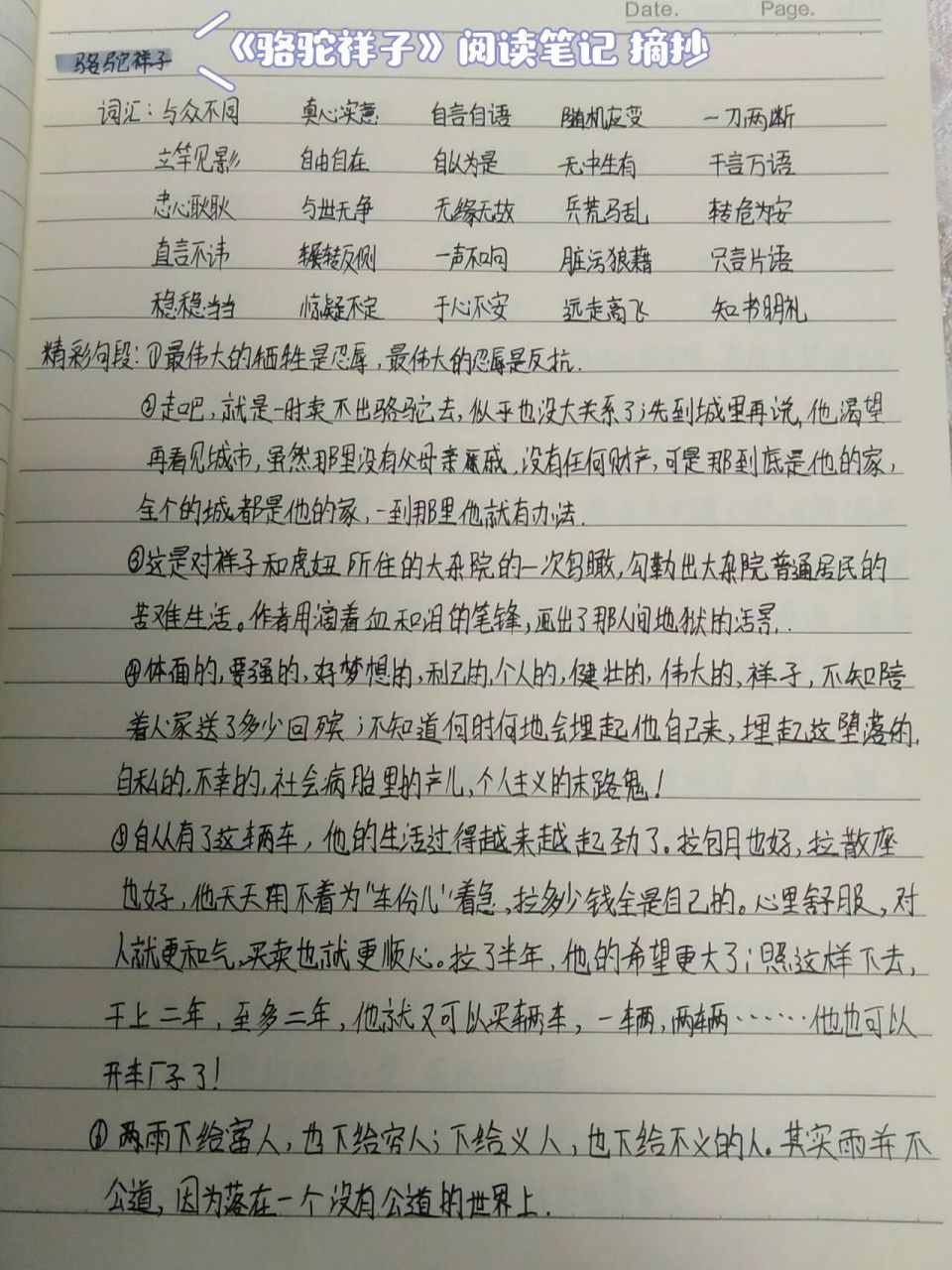 《骆驼祥子》阅读笔记 摘抄~ #《骆驼祥子》