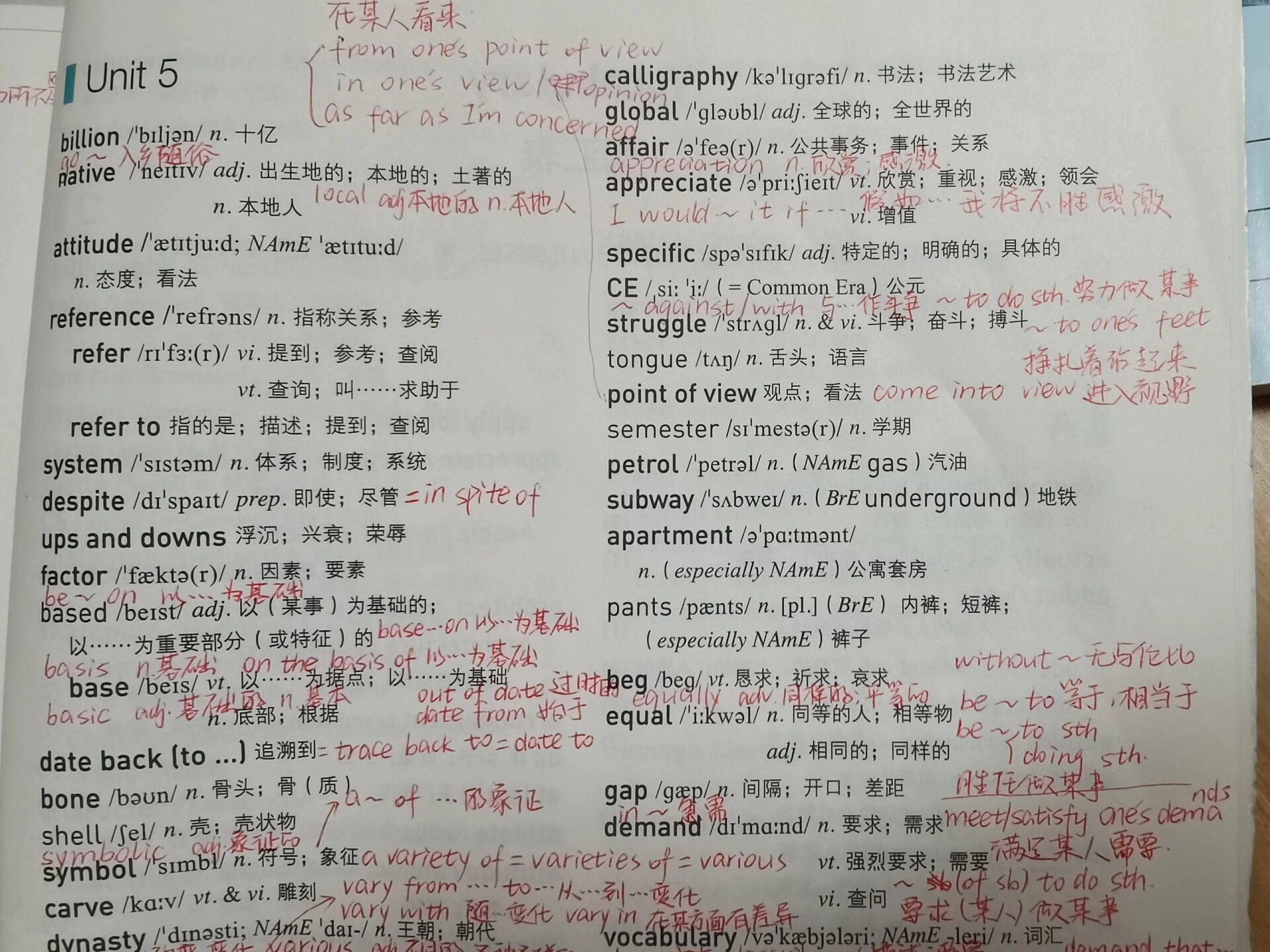 必修一unit5单词