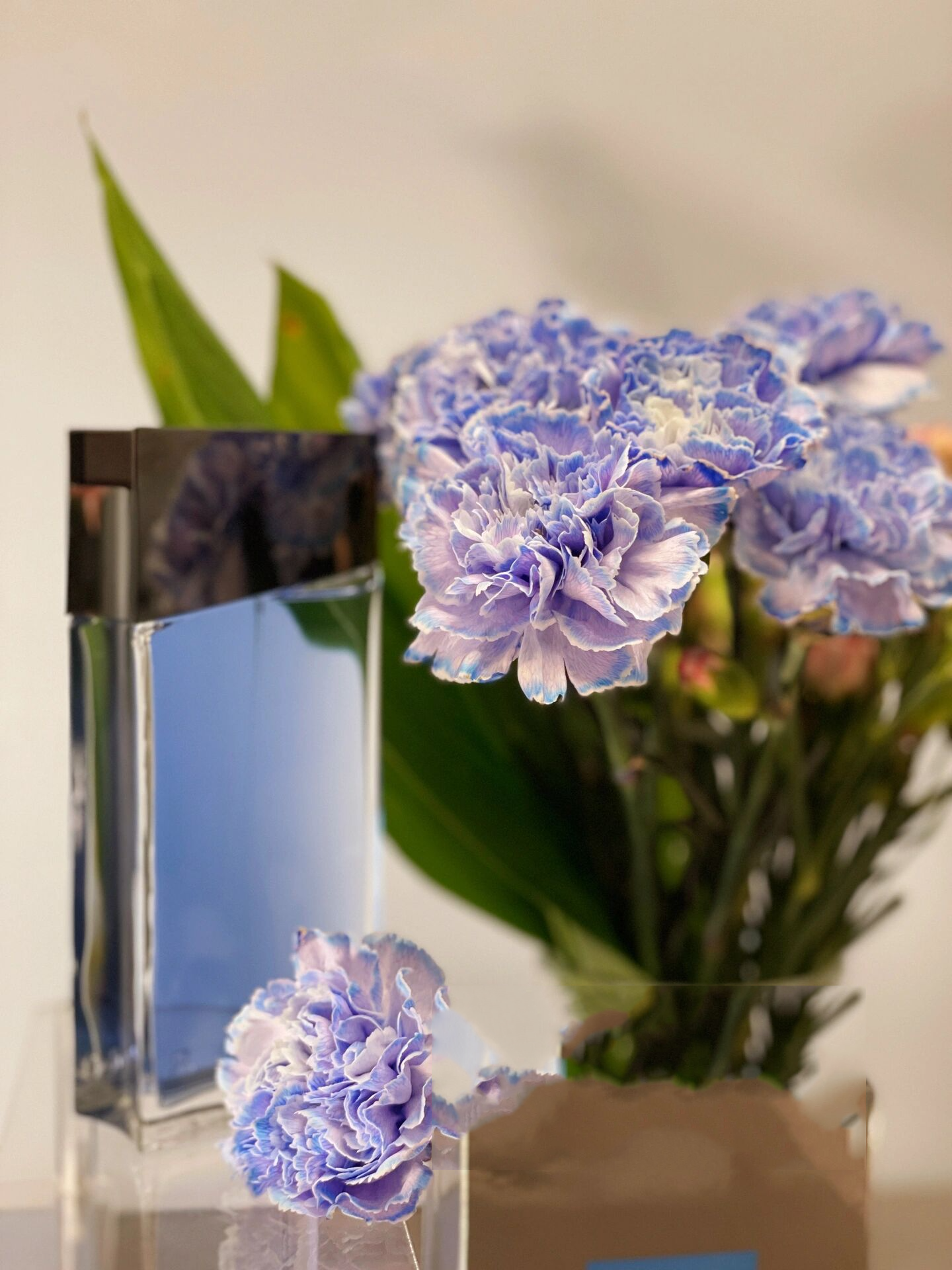 azzaro visit 阿莎罗 期遇男士 azzaro visit for men 阿莎罗 期遇