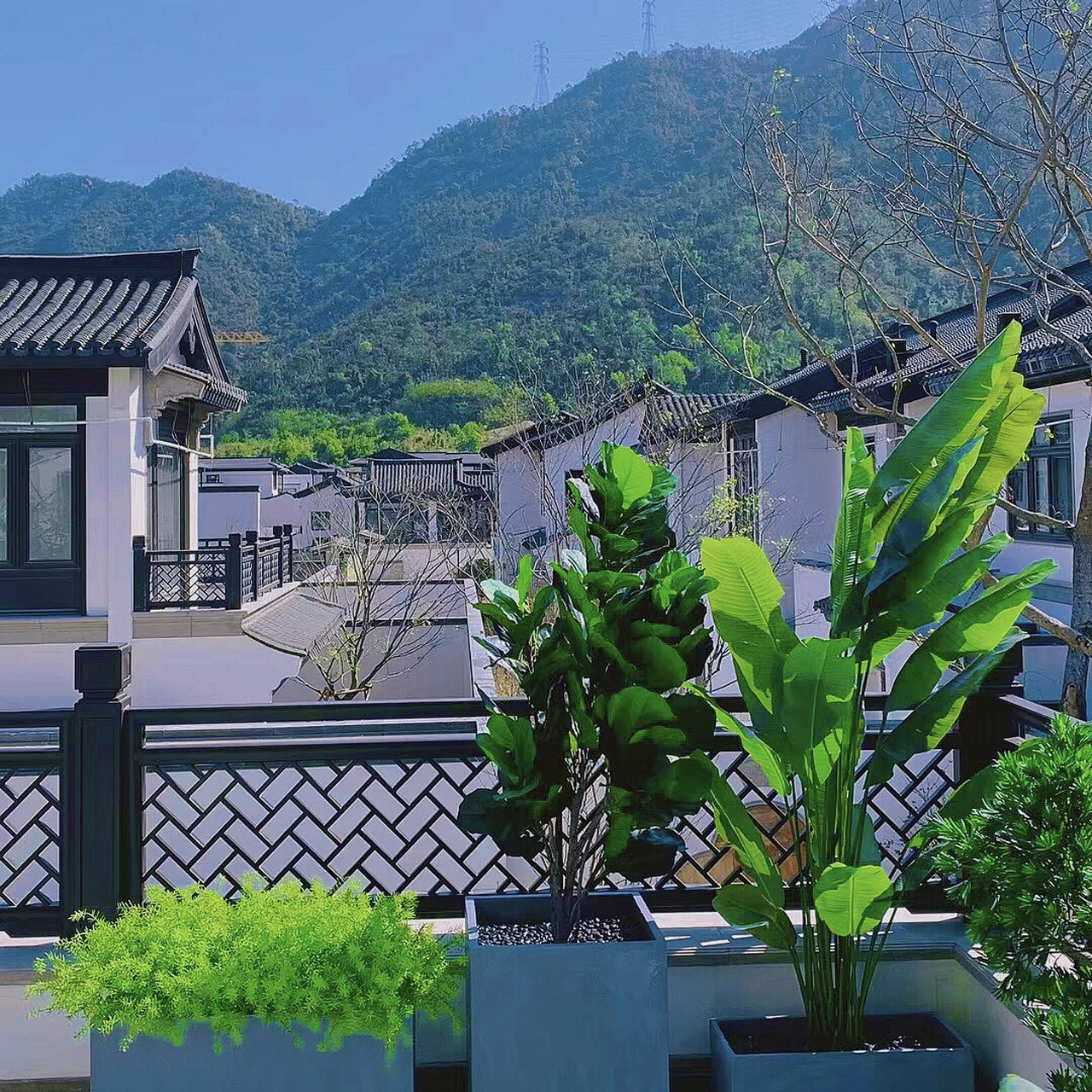 珠海|翠湖香山·留香苑-中式别墅93 留香苑c区样板间实景展示 欢迎