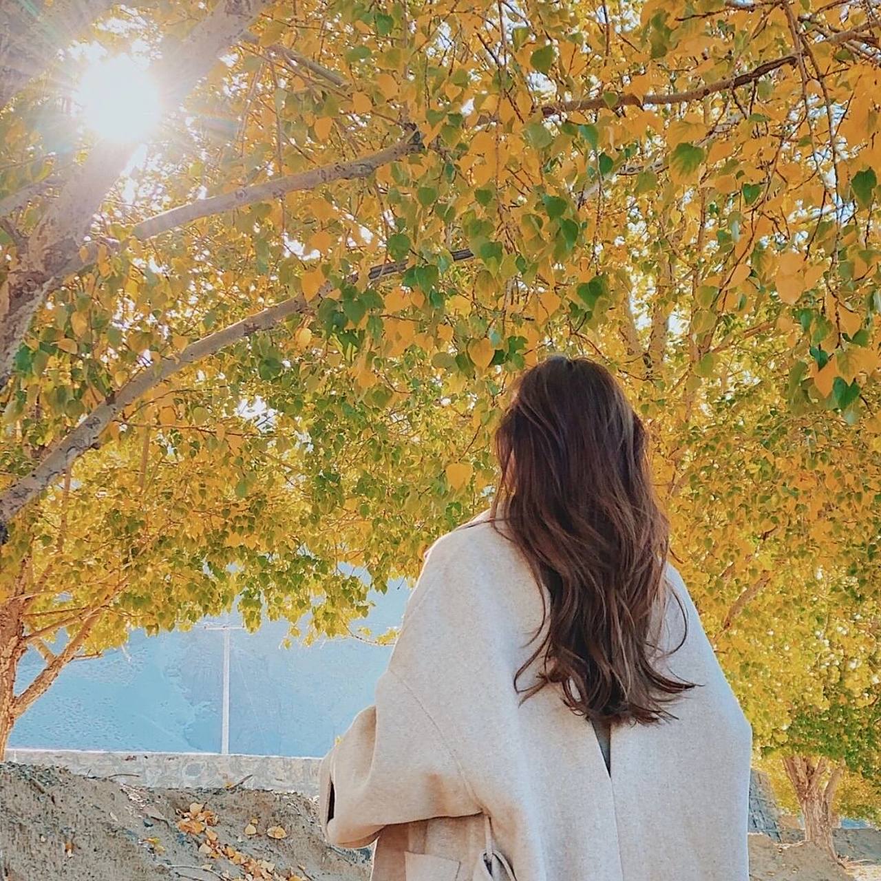 背影头像有什么含义 背影,给人一种孤独的状态,往往背后没有什么可靠