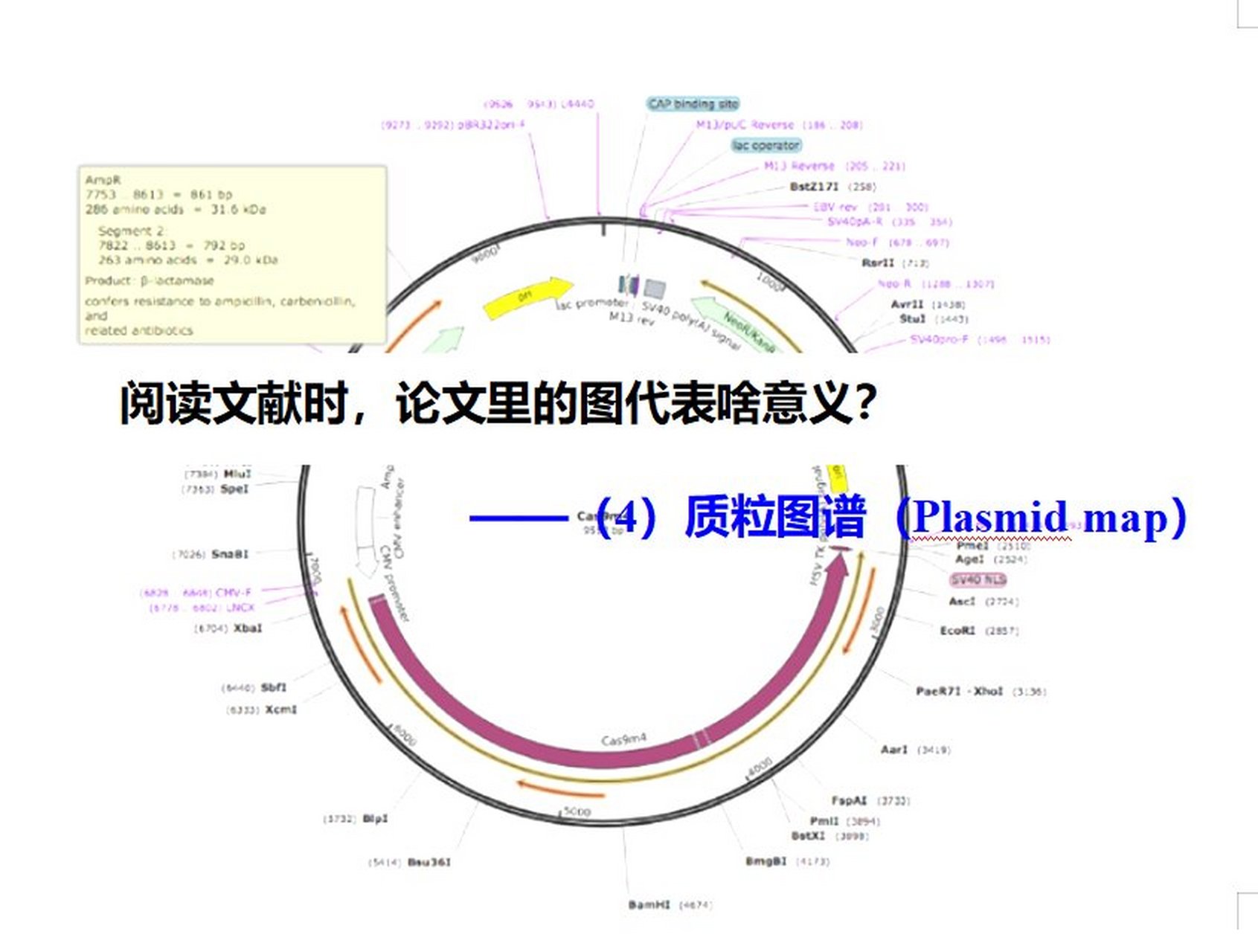 粒序层理示意图图片