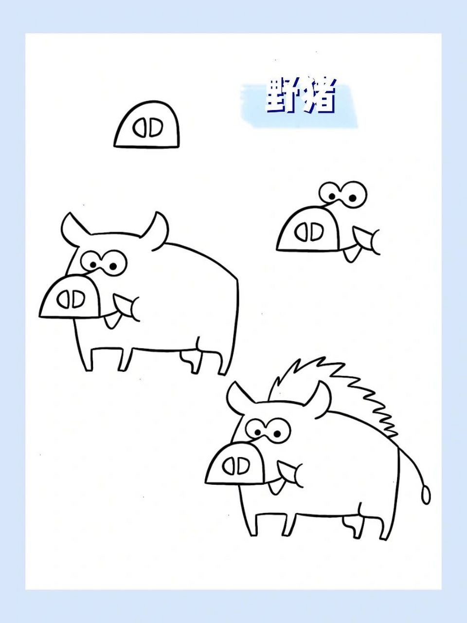 简笔画|动物篇 野猪59/60 979797