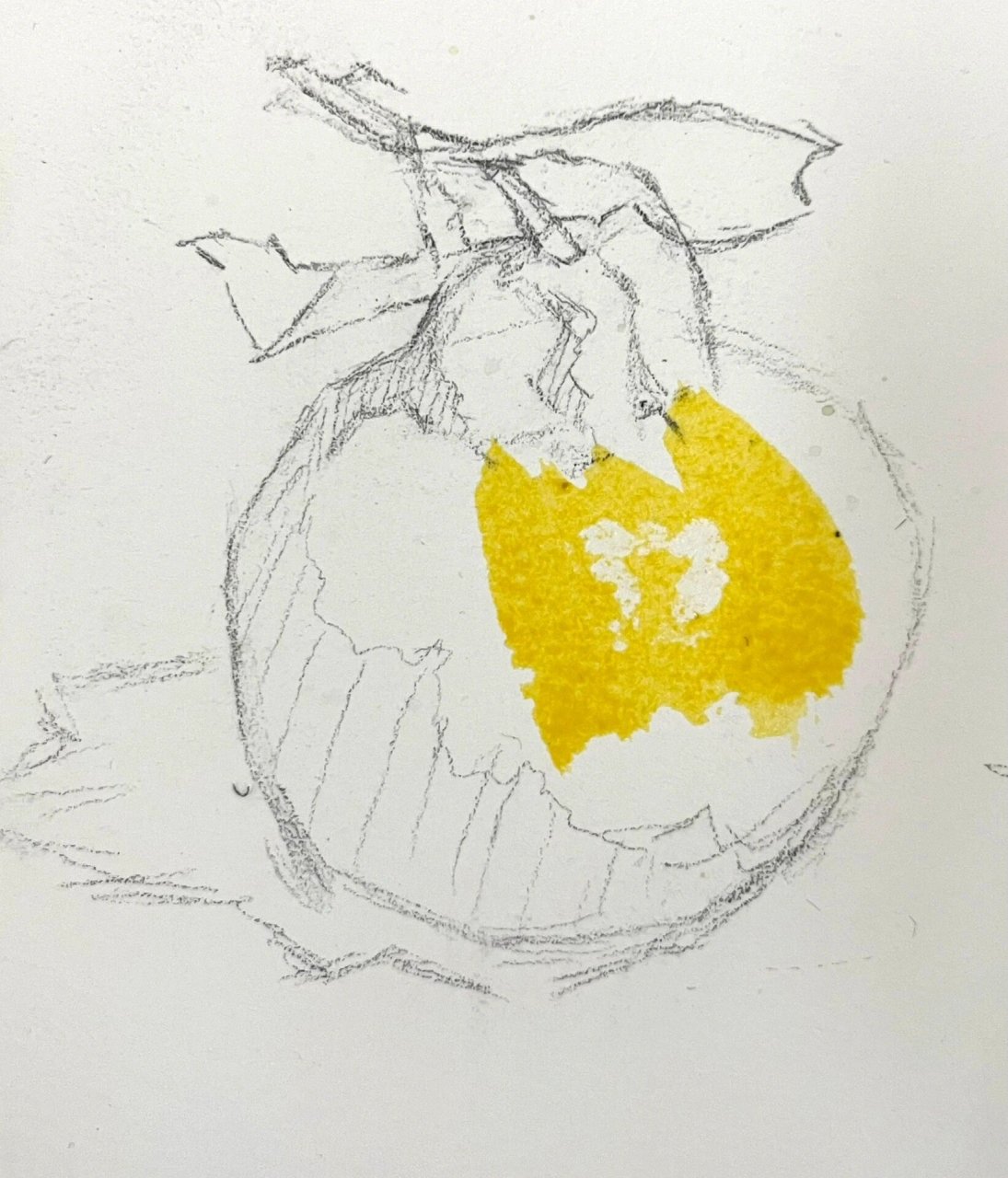 水彩静物单体步骤——橘子
