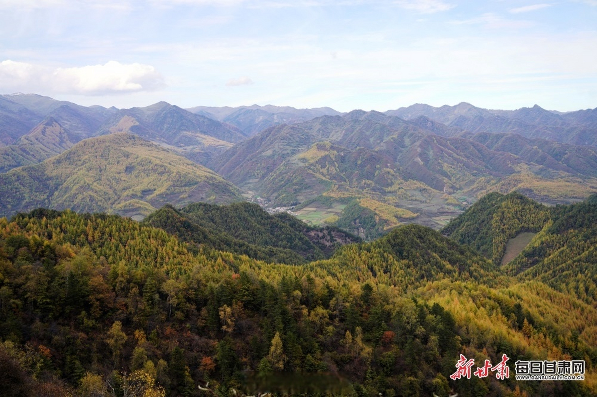 甘肃秋天有多美# 在礼县洮坪邂逅金秋好风景#如意甘肃