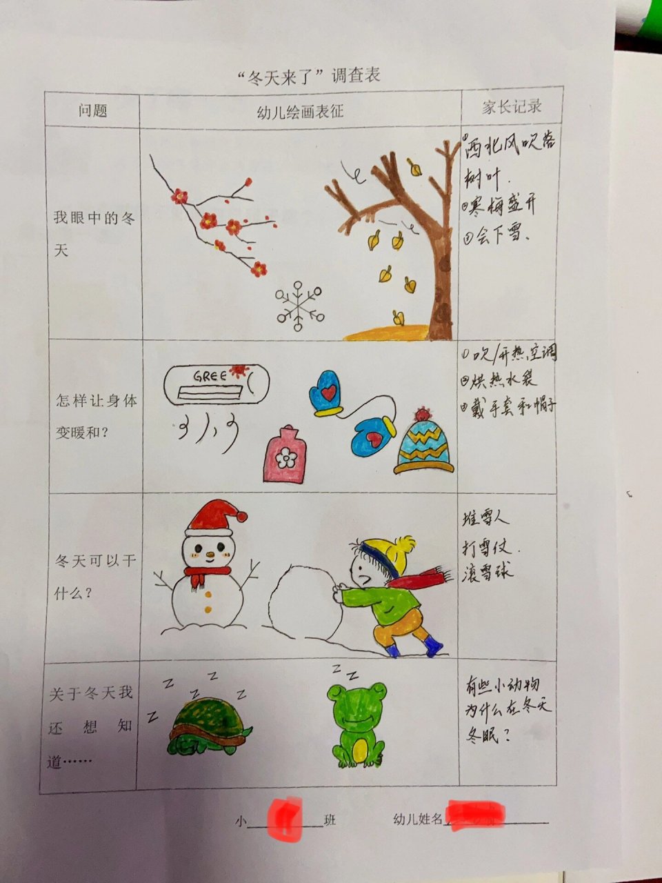 幼儿园冬奥会调查表图片