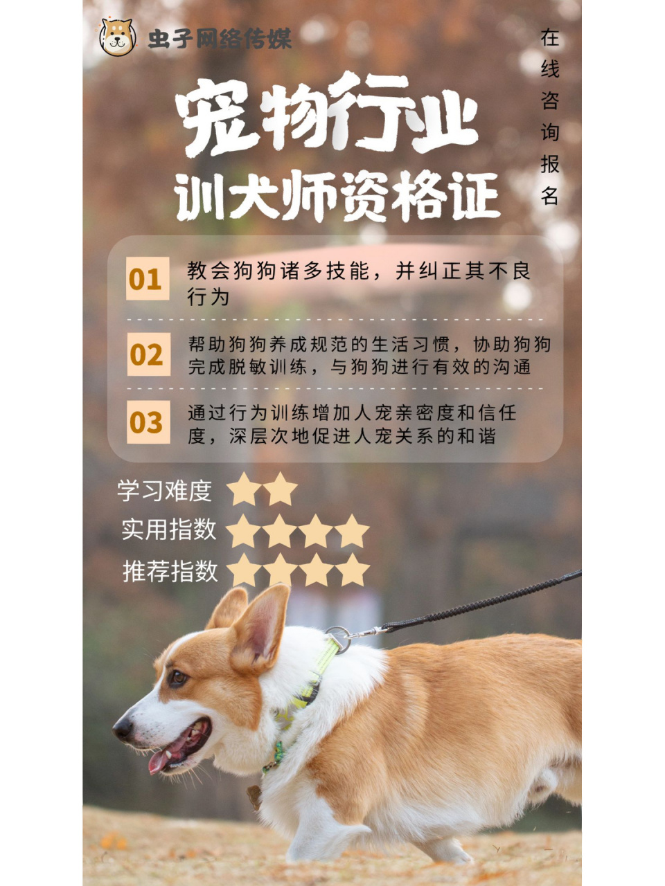 尤其是我们现在社会急需训犬师人才,我们不断的创新花样式训练,不断地