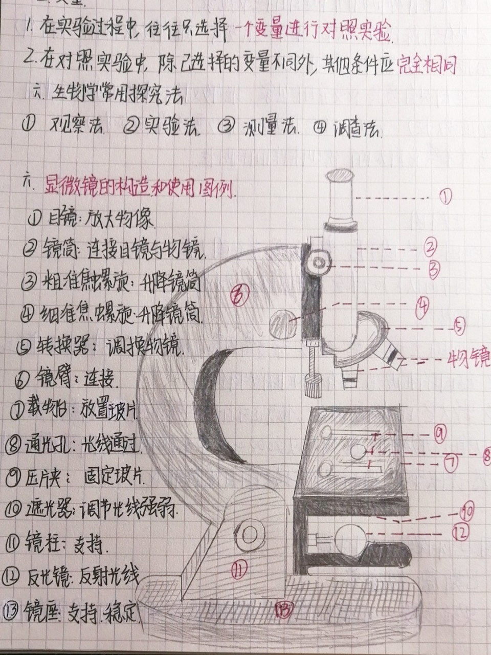 光学显微镜画法图片