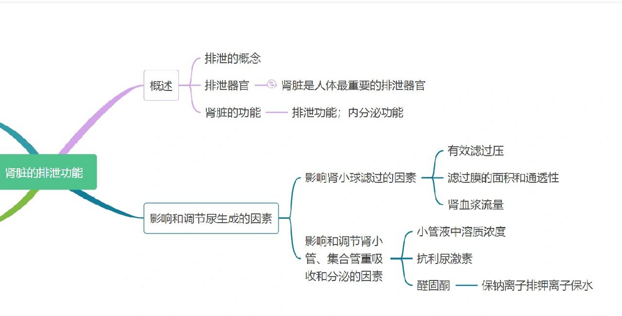 生理学第八章肾脏的排泄功能思维导图总结