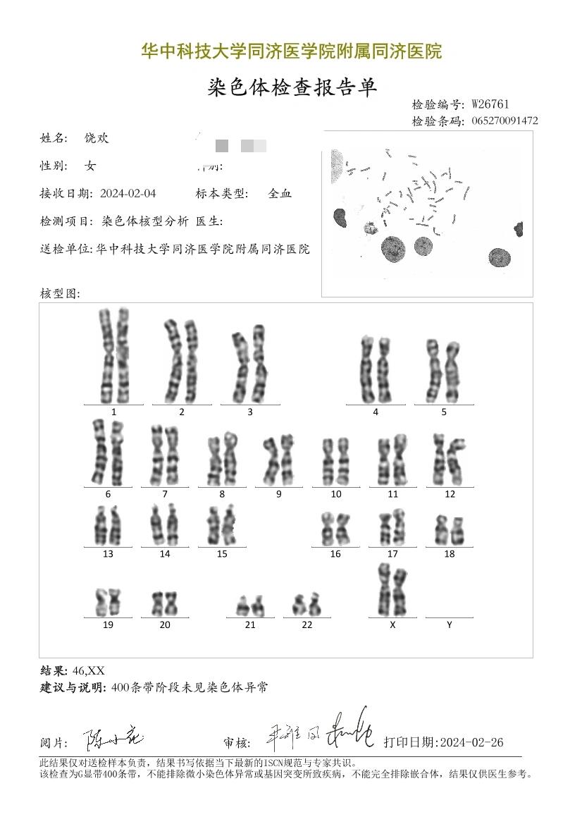 男性染色体检查图片