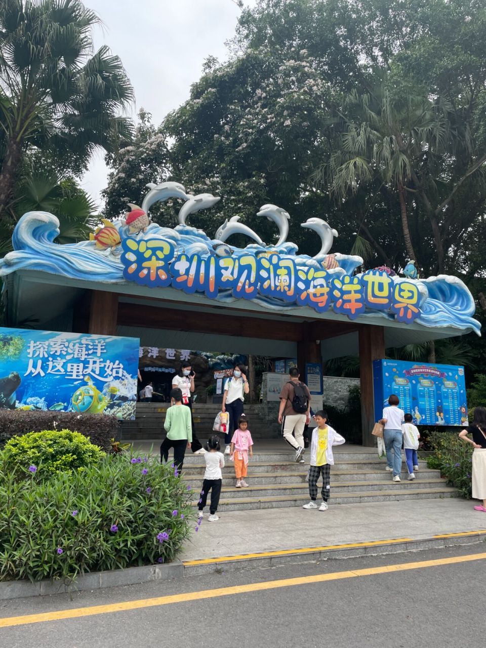 深圳观澜海洋世界攻略 【停车】:最好停在海洋世界对面观澜湖新城,3