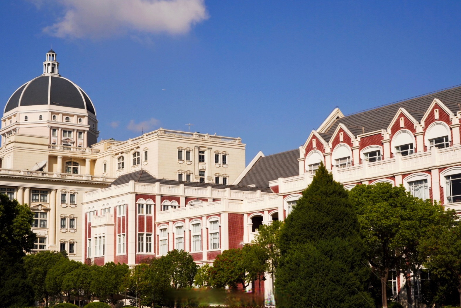 的憧憬与热情,展现你作为时代青年的青春活力上海外国语大学校内图片