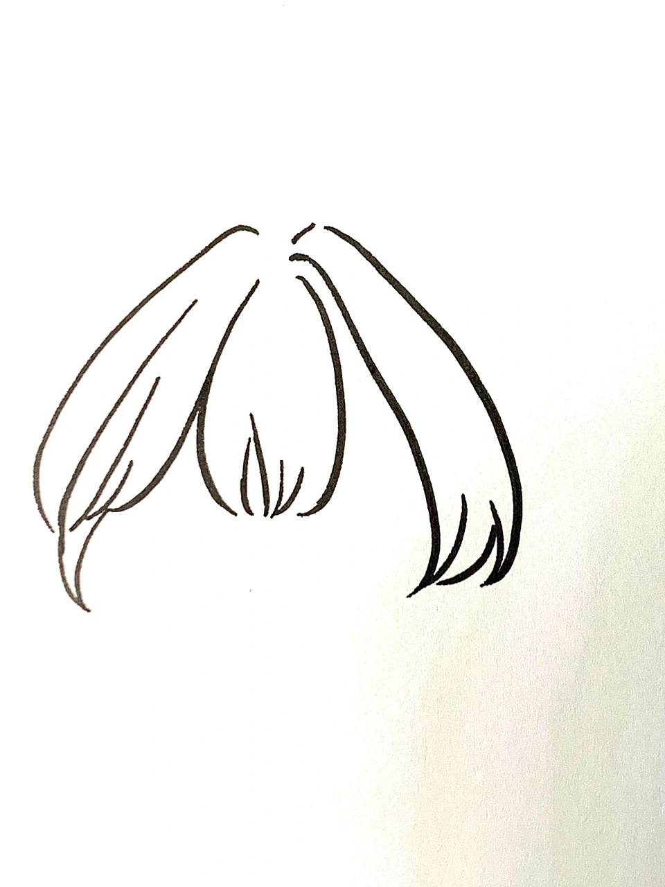 46615步刘海6015保姆式刘海画法6315 16615先画中间