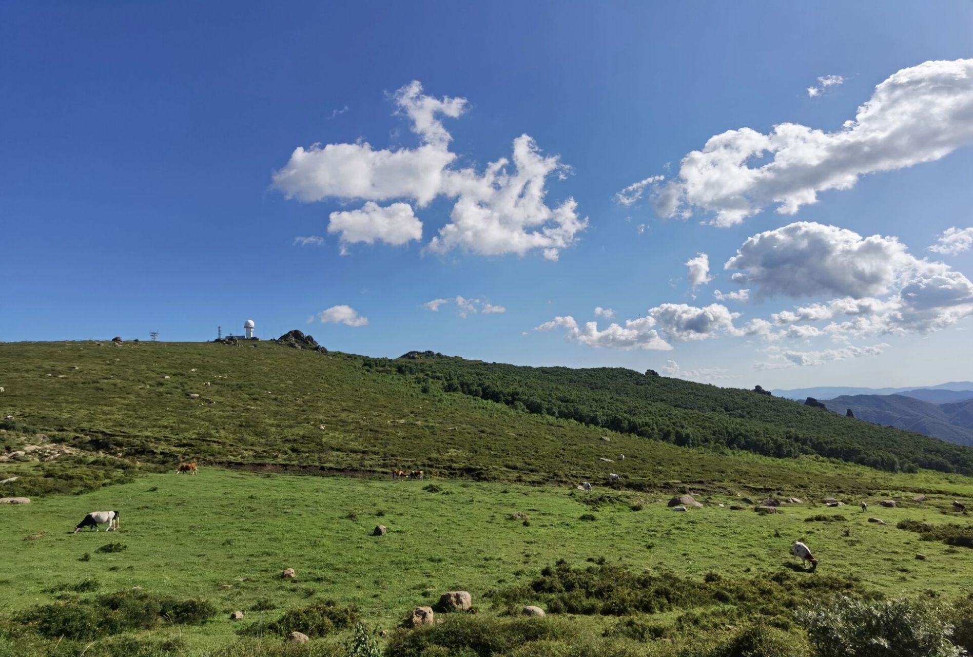 乌兰察布凉城二龙什台森林公园 不用介绍你 谁都喜欢你 你是所有的