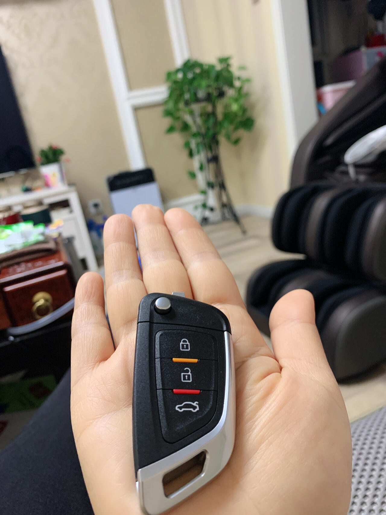 欧拉ri车钥匙改装