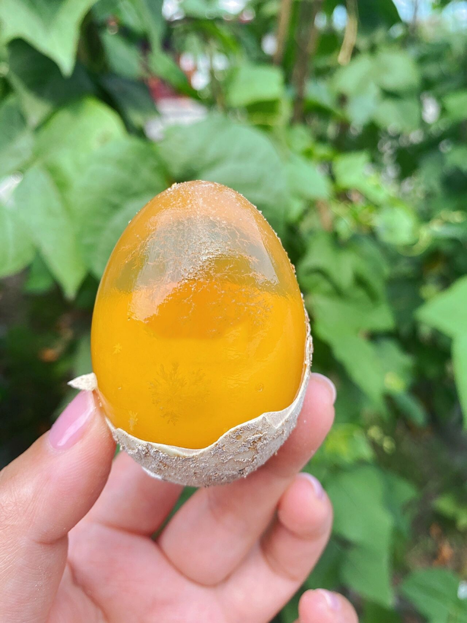 四川的黄金松花皮蛋不夹口,蛋清q弹,蛋黄软糯,每颗都有溏心哦