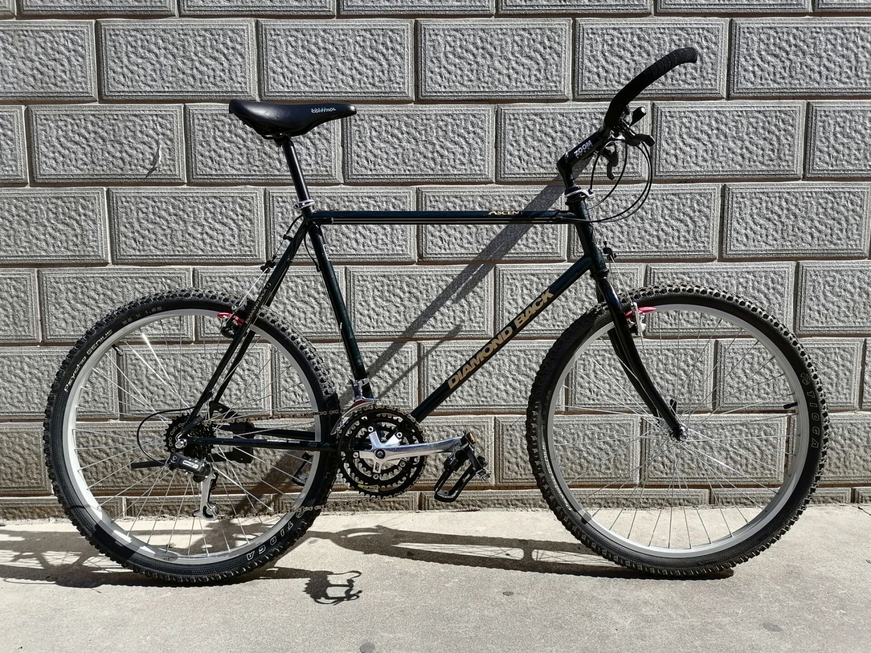 22英寸最大号的大名钢架山地车 朋友们,您能知道是谁把他骑走的吗?