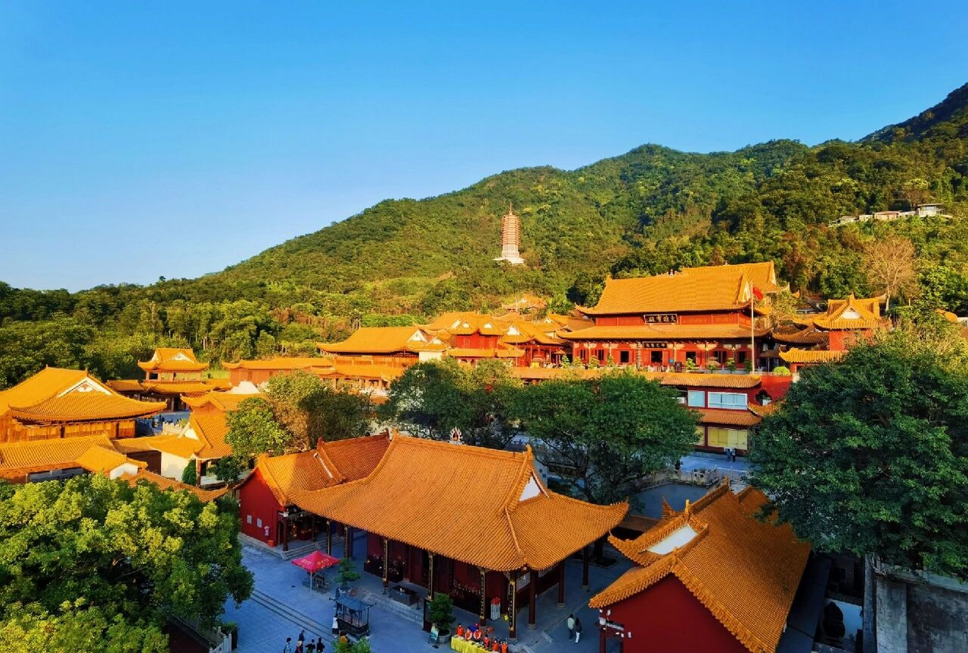 深圳仙湖植物园弘法寺图片
