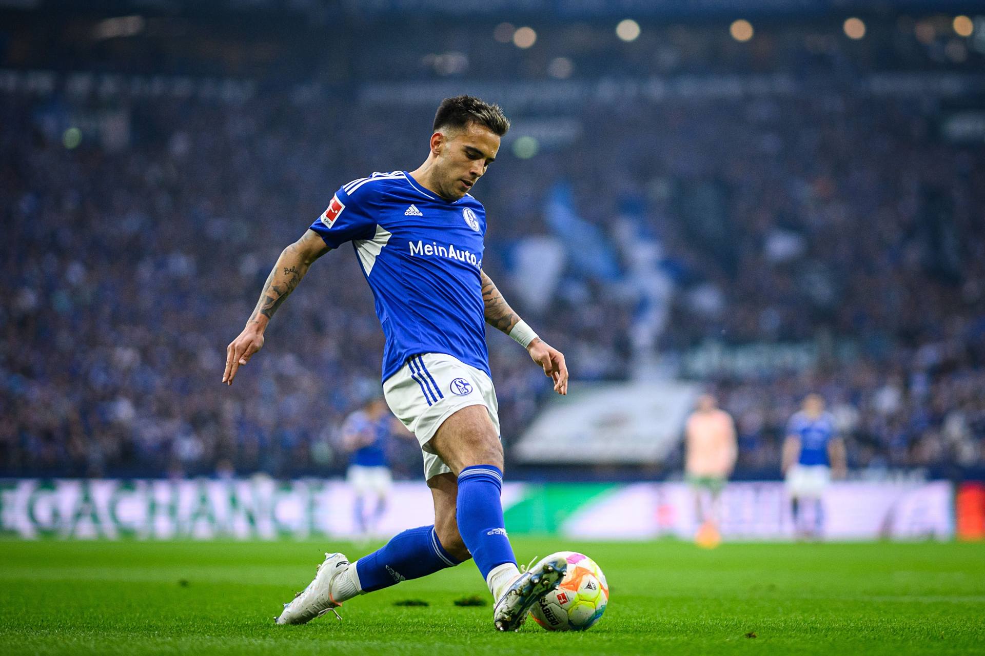 超清壁纸:罗德里戈·萨拉萨尔, 沙尔克04 沙尔克04中场球员罗德里戈