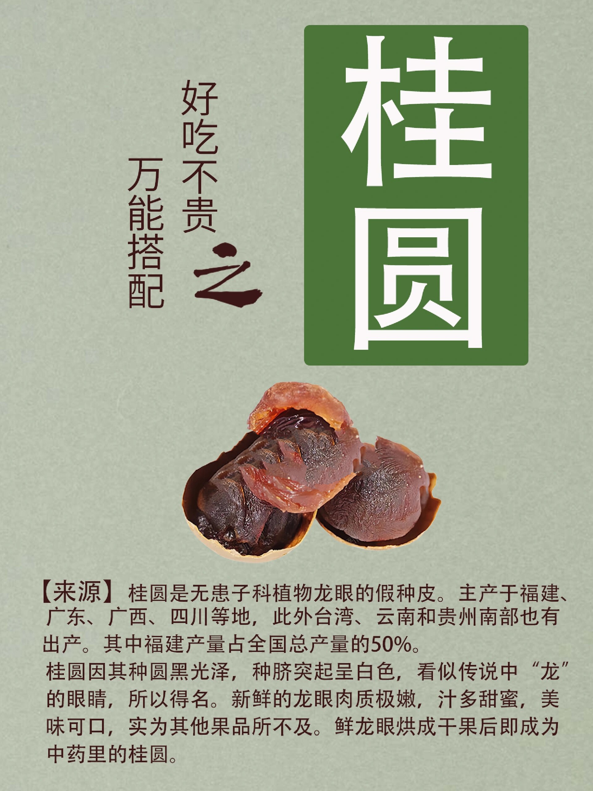 桂圆性味图片