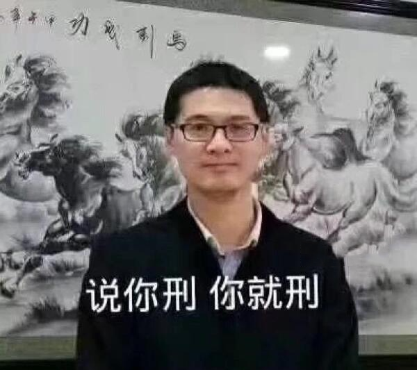 罗翔律师表情包图片