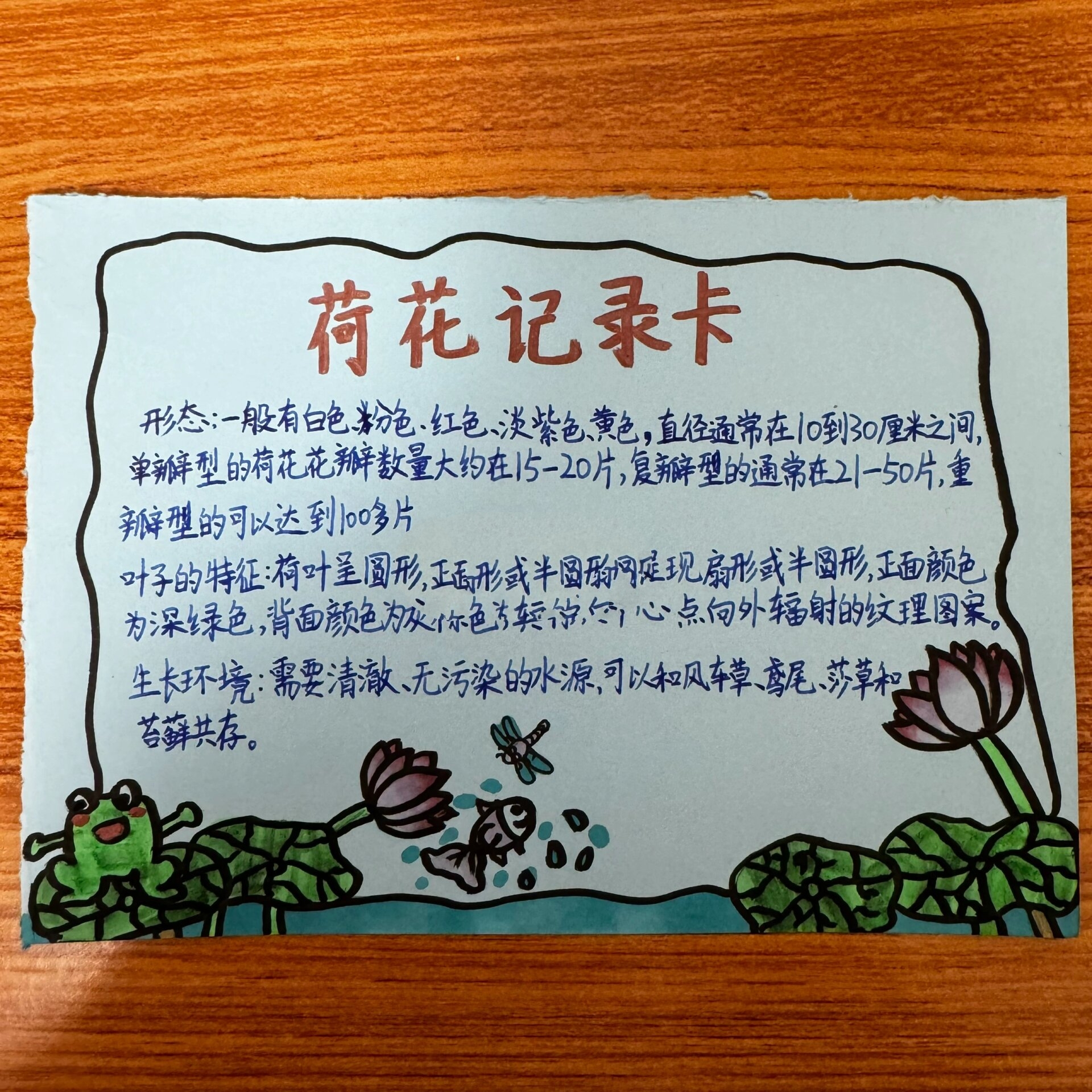 三年级荷花记录卡图片