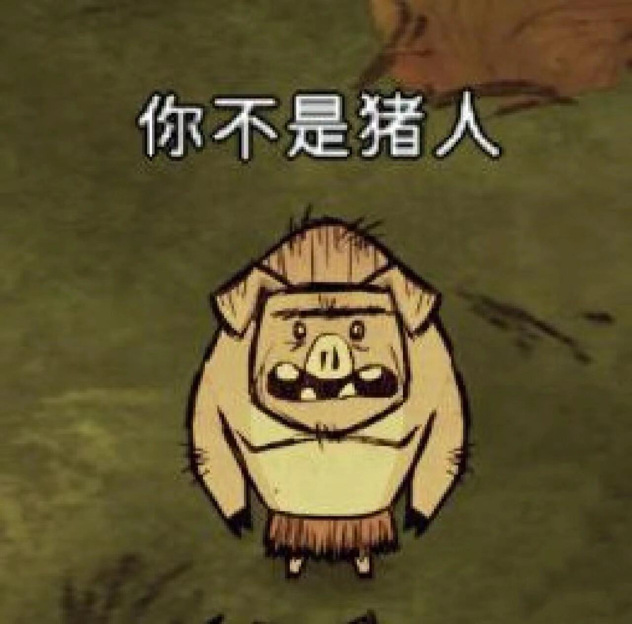 饥荒猪人表情包来咯 猪猪真可爱