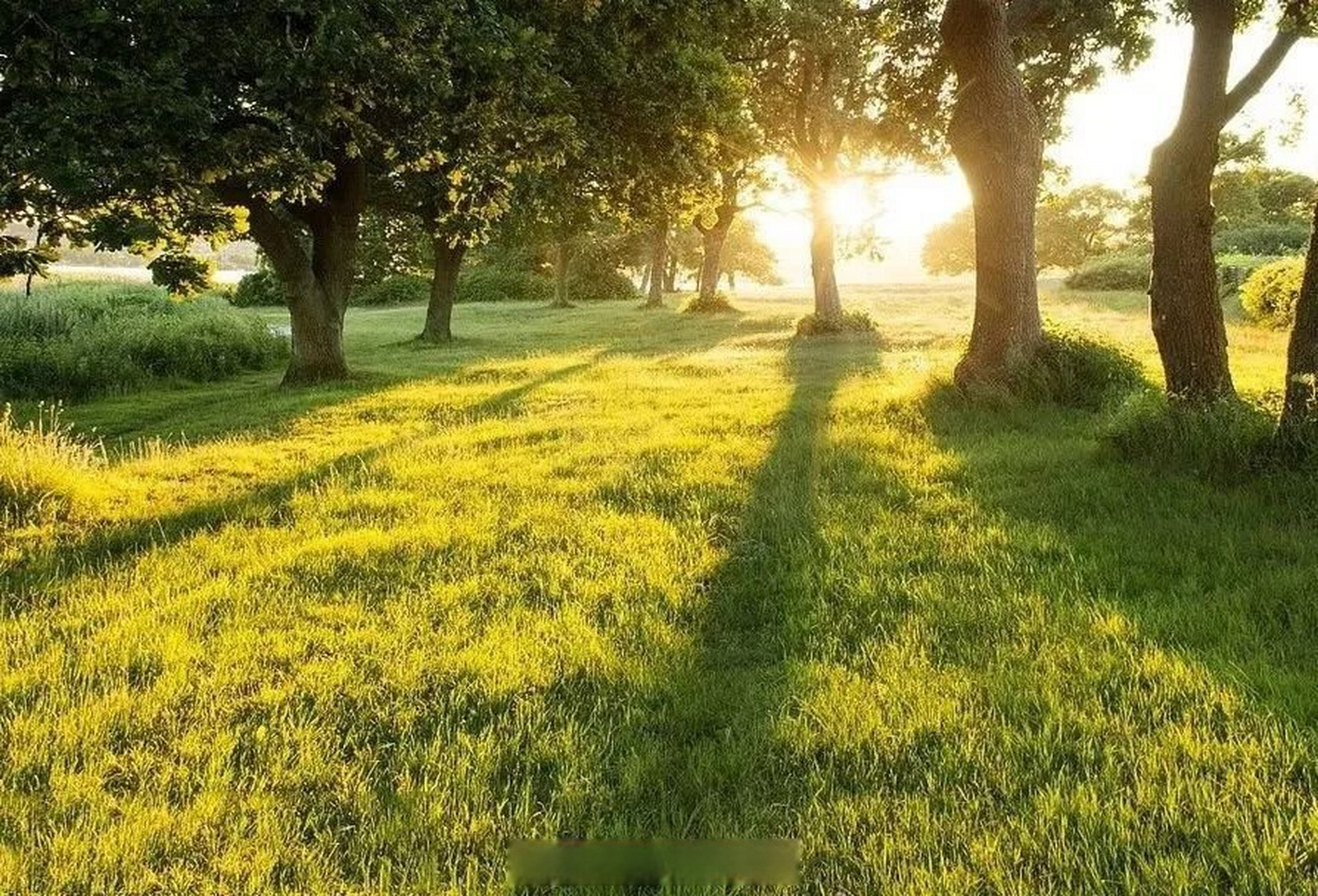 生活无需锦衣玉食,只求安然无恙.  做人无需风光辉煌,只求平安健康.