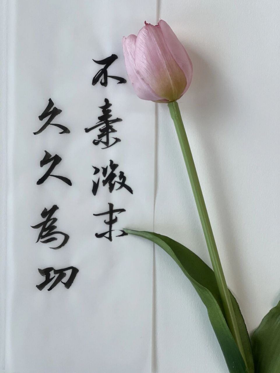 不弃微末 久久为功#手写# #手写文案# #我的书法分享# #手写摘抄