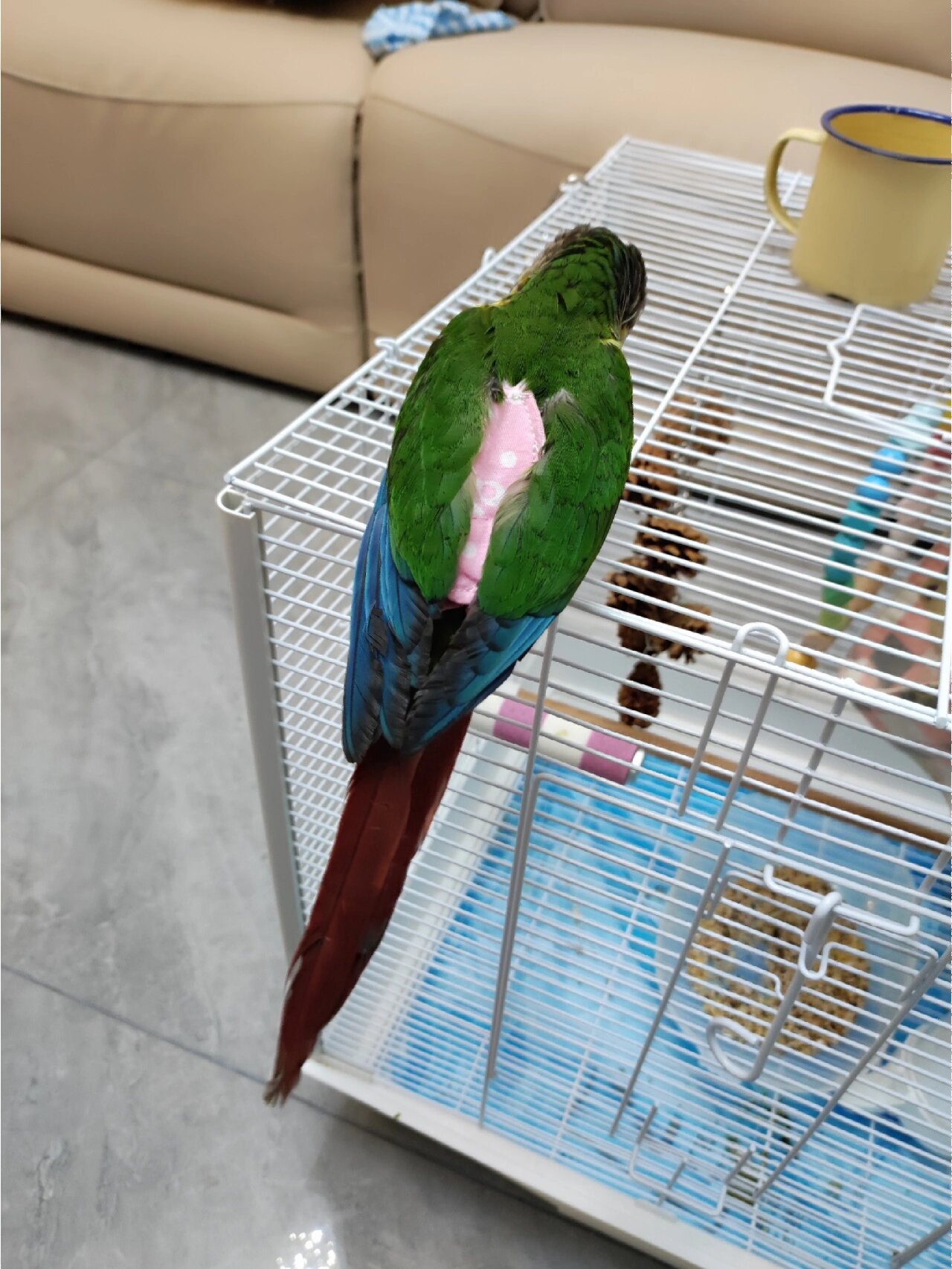 客订的小屎兜返图