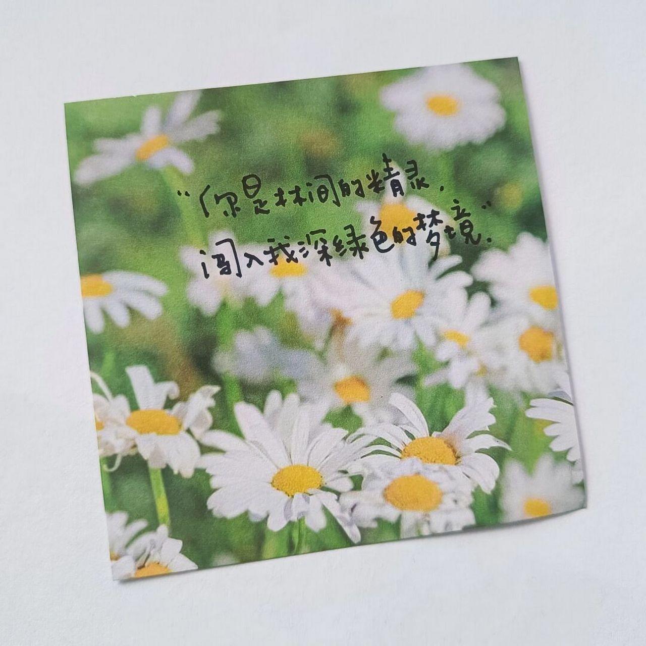 大自然治愈系文字 #手写# #治愈文案# #手写信# #好句摘抄分享# #治愈