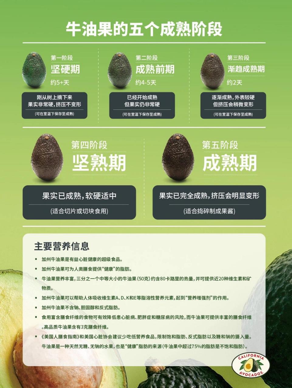 牛油果怎样算坏了图片