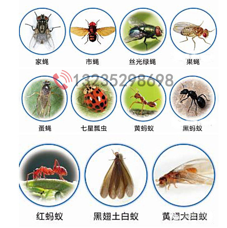 防害虫必备图谱,从认识家庭害虫开始