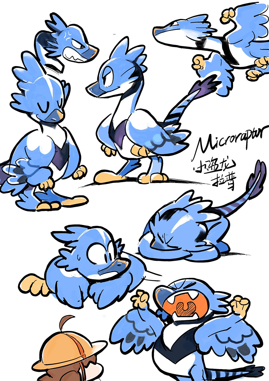 dinostar:小盗龙(拉普) 中文学名:小盗龙类 拉丁