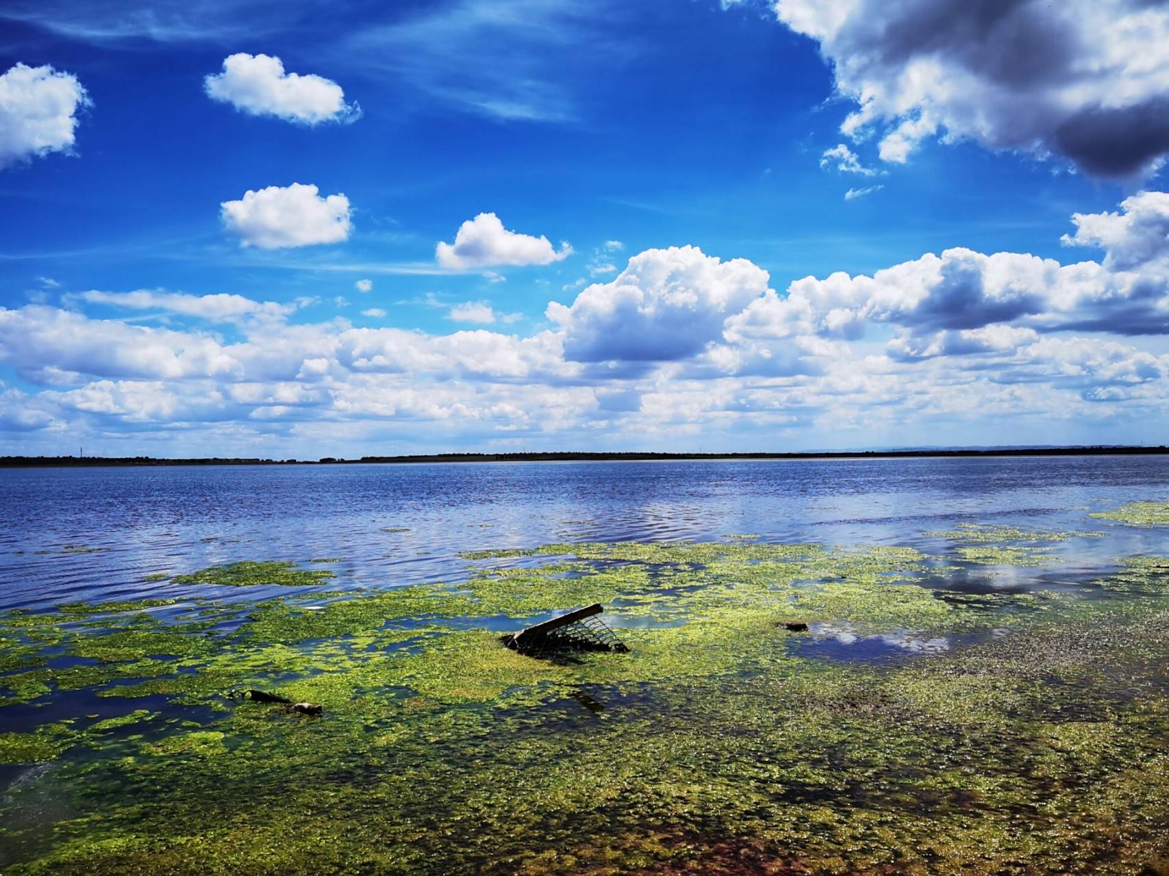 在广袤无垠的张北草原里,藏着一个美丽的湖泊,那就是中都草原附近的